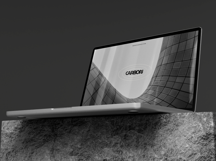 portfolio img 1